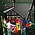 DSCN0135.JPG