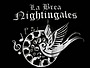Thumbnail of La Brea Nightingales Steel Orchestra band logo - When Steel Talks
