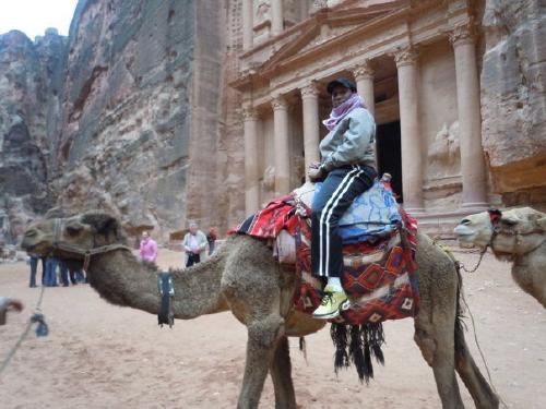 Native Deen - Thwaites  -camel