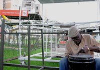Kenneth Yearwood works on a percussion instrument at Phase II Pan Groove's panyard on Damian Street, Woodbrook, yesterday.