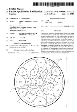 Image of first page of G-Pan Patent