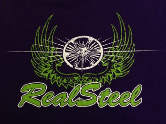 Logo for Real Steel, 2012 UK Panorama champions