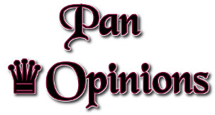 Pan Opinions - When Steel Talks/PanOnTheNet