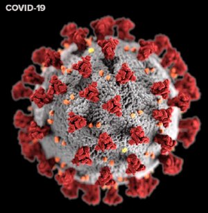 The Coronavirus 2019 - COVID-19