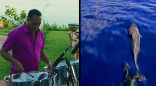 Musician Extraordinaire Robert Greenidge performs with Jimmy Buffett & Michael Utley