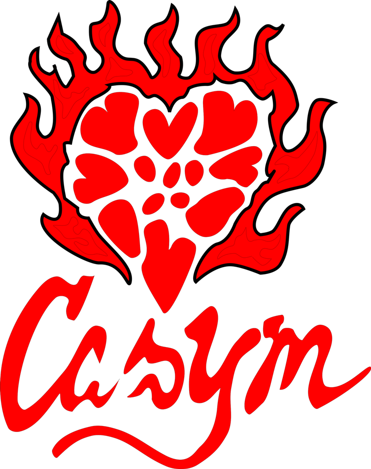 CASYM Steel Orchestra - 2018 Panorama Band Logo - WST