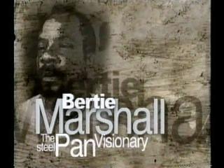 Berti Marshall The  Pan Visionary