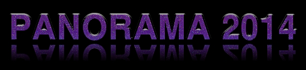 WST Steelband Panorama 2014 logo