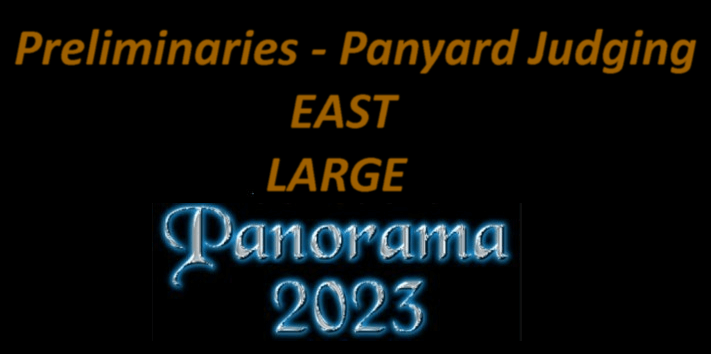 Panyard preliminaries - East: Order of Appearance for Large Steel Orchestras