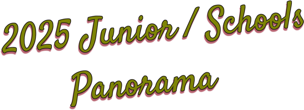 2025 Junior National Schools Panorama logo - When Steel Talks (WST)