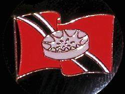 steelpan on flag Trinidad