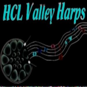 Valley Harps Steel Orchestra - When Steel Talks