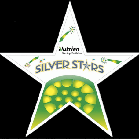 Silver Stars Steel Orchestra band logo - When Steel Talks