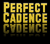 Perfect Cadence Steel Orchestra