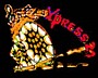 Thumbnail of Xpress 21 Steel Orchestra band logo - When Steel Talks