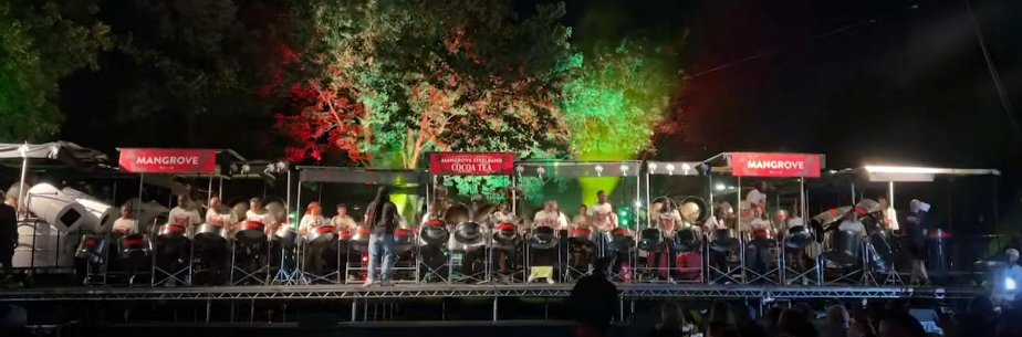 Mangrove Steelband at the 2025 UK National Panorama